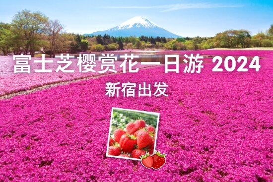 富士芝樱祭赏花一日游 2024