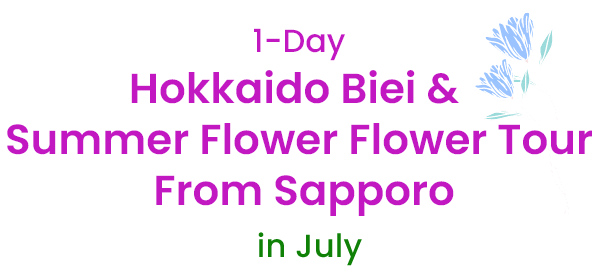 1-Day Hokkaido Biei & Furano Summer Flower Tour From Sapporo in July