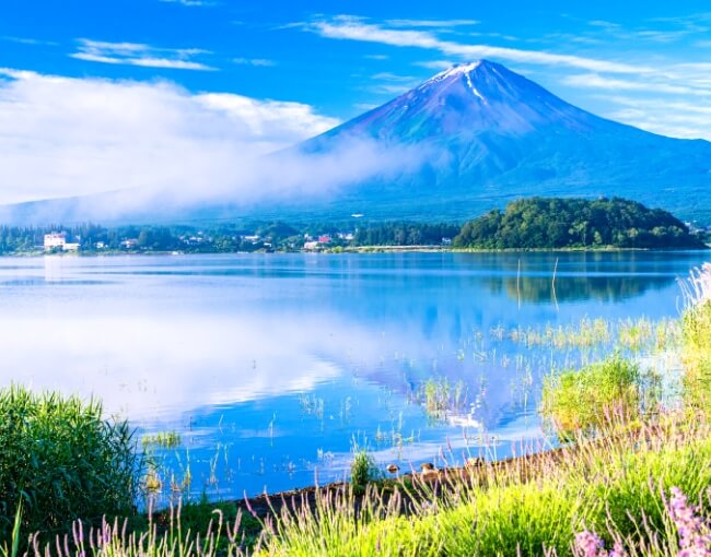1-Day Mt. Fuji 1st - 5h Station Hiking Tour
