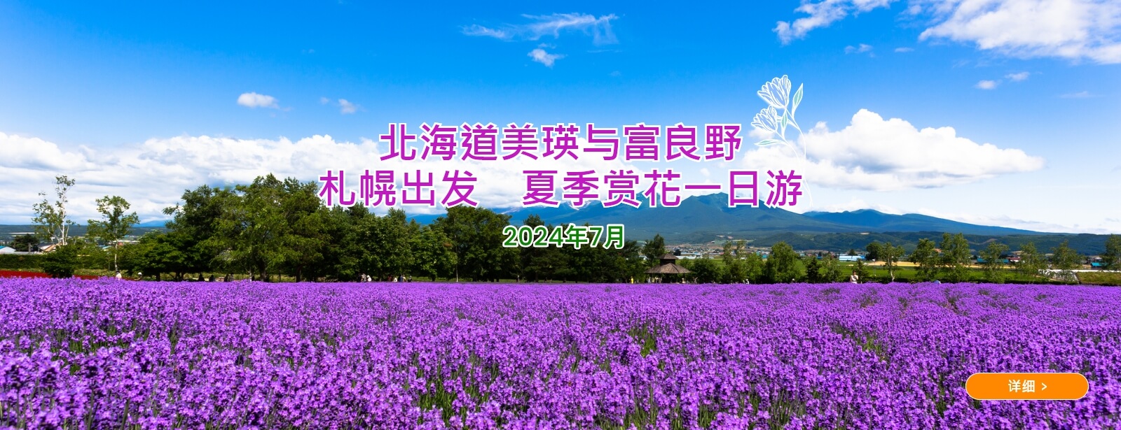 北海道美瑛与富良野　札幌出发　夏季赏花一日游