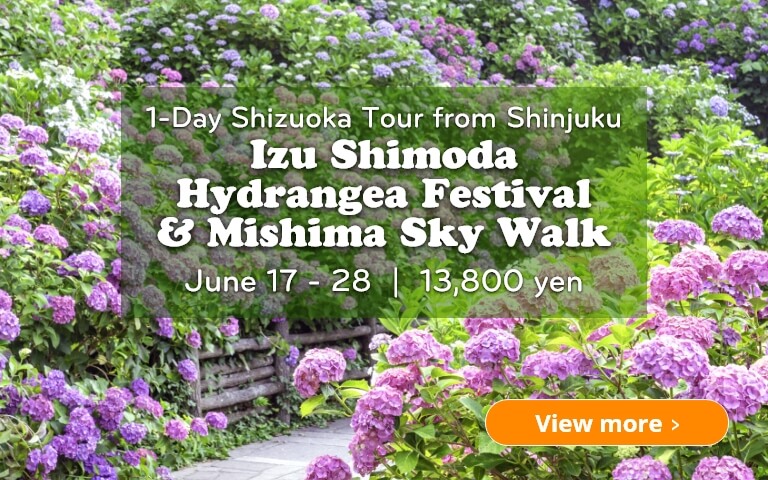 1-Day Shizuoka Tour  Izu Shimoda Hydrangea Festival & Mishima Sky Walk