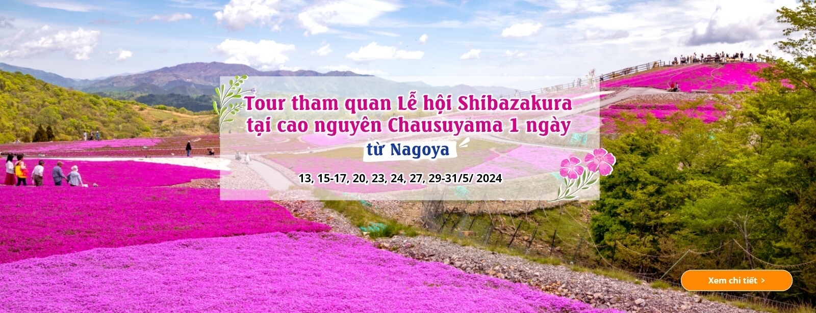Tour tham quan Lễ hội Shibazakura tại cao nguyên Chausuyama 1 ngày từ Nagoya