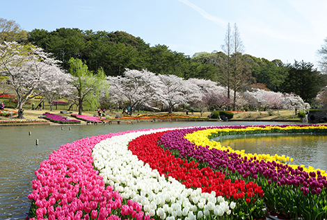 浜名湖Flower Park
