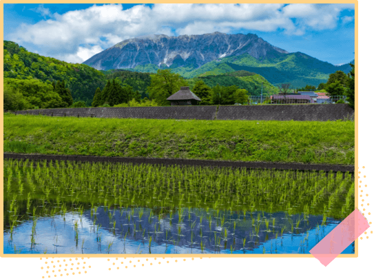 Mt. Daisen reflected in a rice field