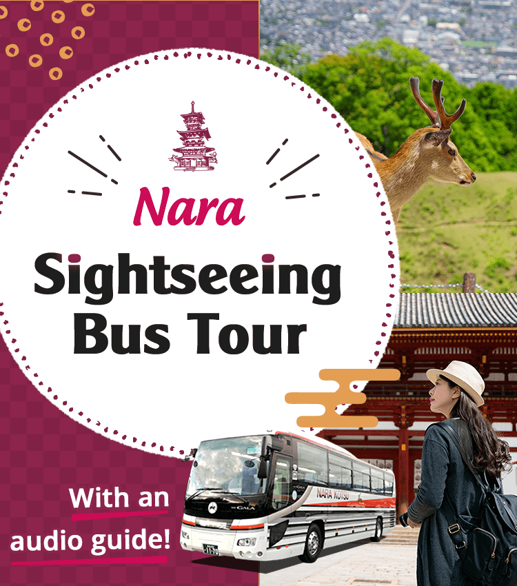 Nara Sightseeing Bus Tour with a guide! 