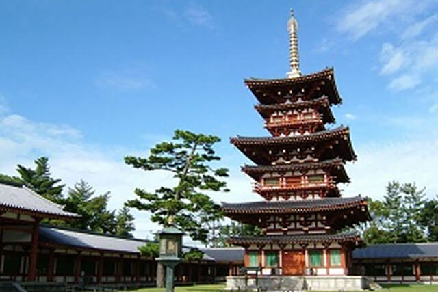Horyuji temple & Nishinokyo area