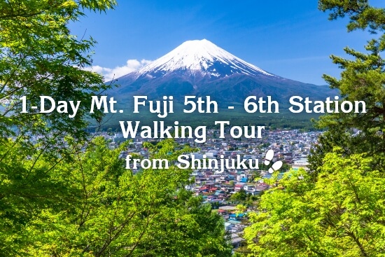 Mt. Fuji Summer Walking tour 