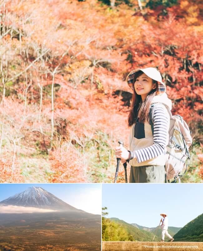 1-Day Mt. Fuji Autumn Trekking & Hiking Tour