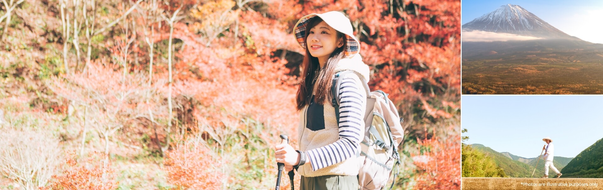 1-Day Mt. Fuji Autumn Trekking & Hiking Tour