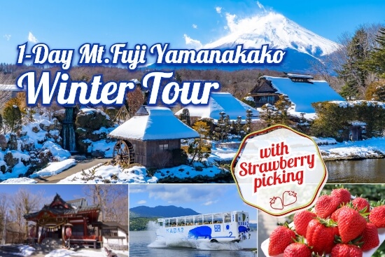 1-Day Mt.Fuji Yamanakako Winter Tour