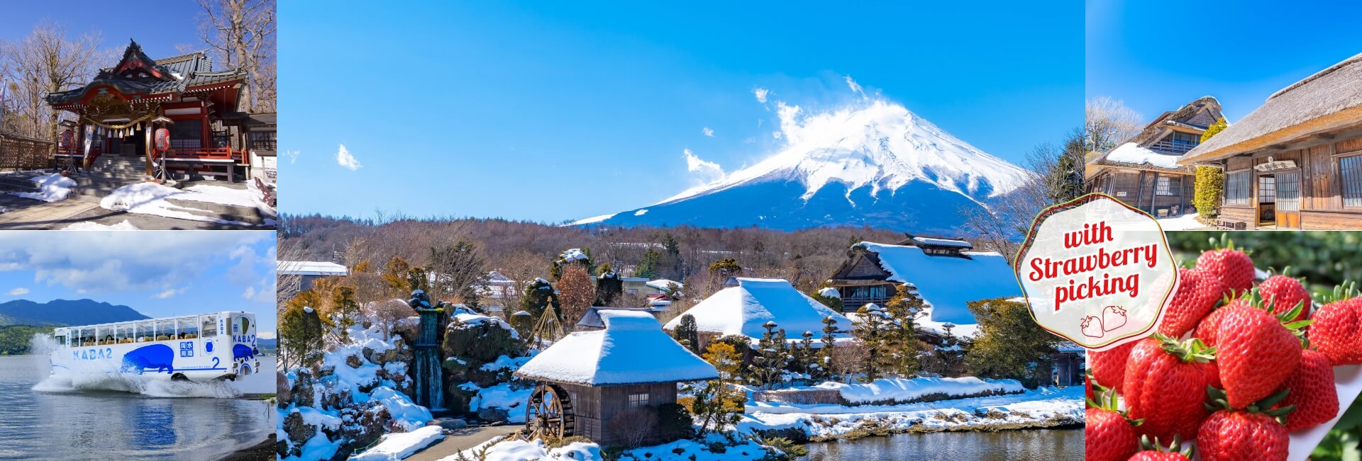 1-Day Mt.Fuji Yamanakako Winter Tour