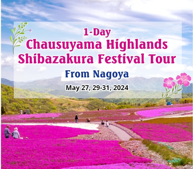 1-Day Chausuyama Highlands Shibazakura Festival Tour from Nagoya