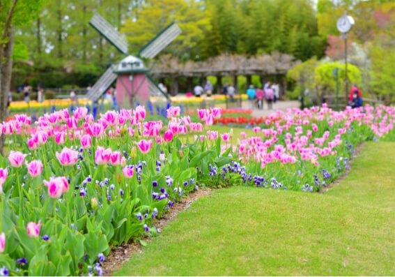 Hyogo Flower Center
