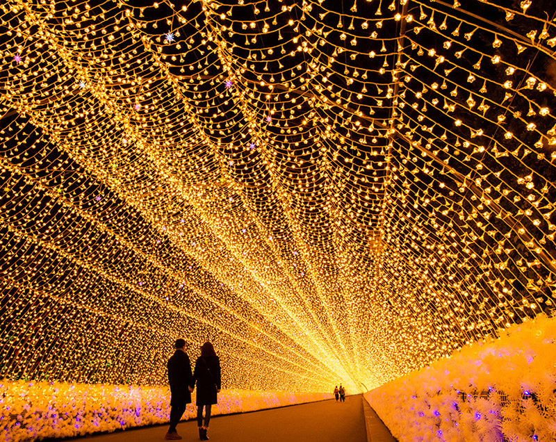 A Winter Wonderland of Lights: Nabana no Sato Illumination in Japan