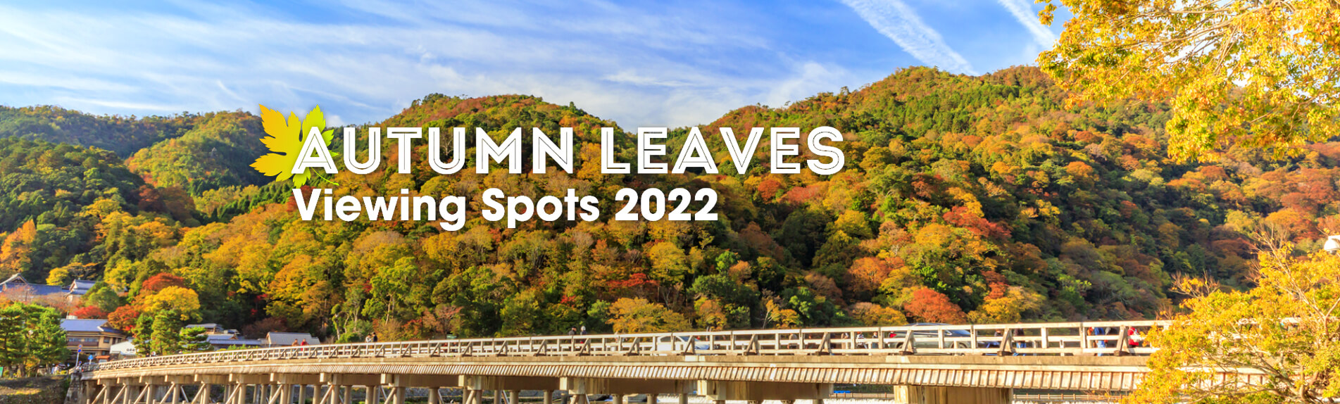 Autumn Leaves Viewing Spots 2022