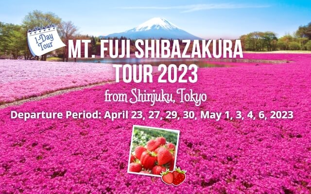 1-Day Mount Fuji Shibazakura Tour 2023