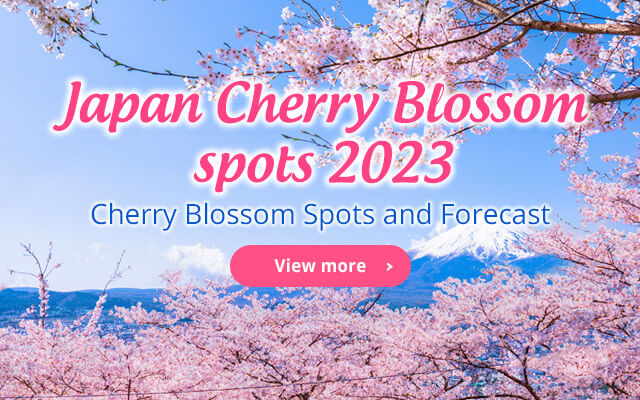 Japan Cherry Blossom spots 2023