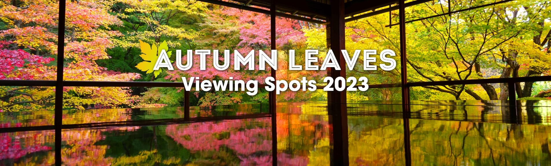 Autumn Leaves Viewing Spots 2023