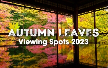 Autumn Leaves Viewing Spots 2023