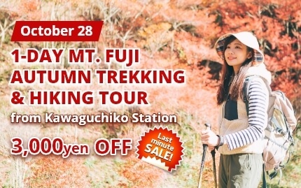 1-Day Mt. Fuji Autumn Trekking Tour