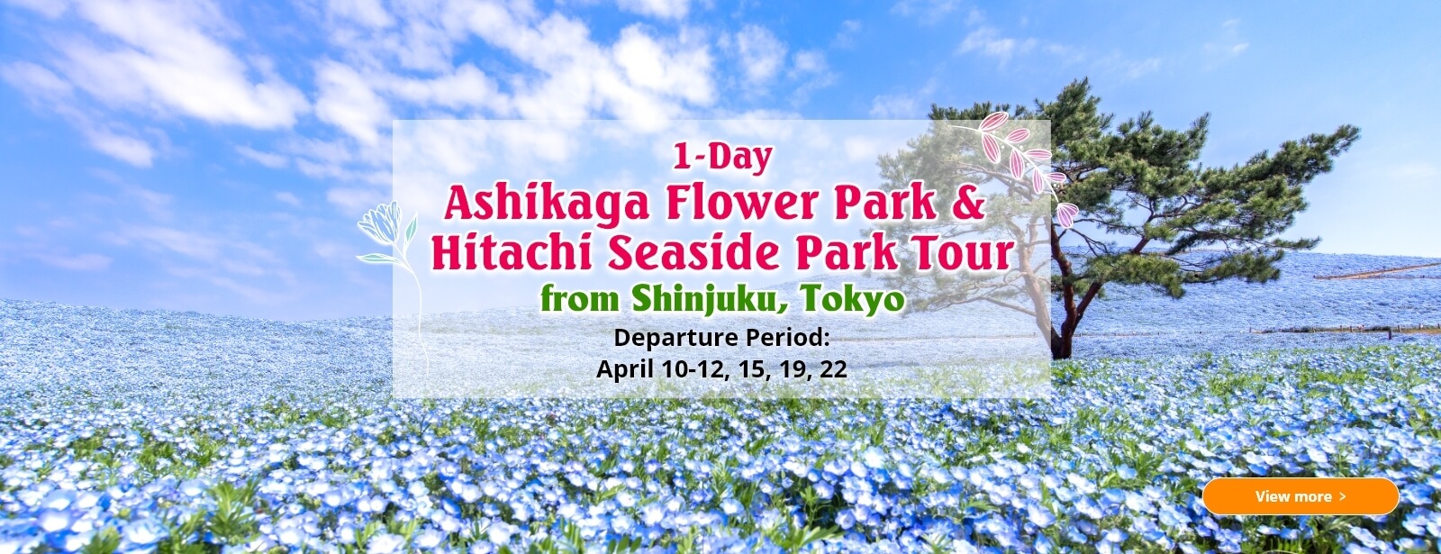 1-Day Ashikaga Flower Park & Hitachi Seaside Park Tour