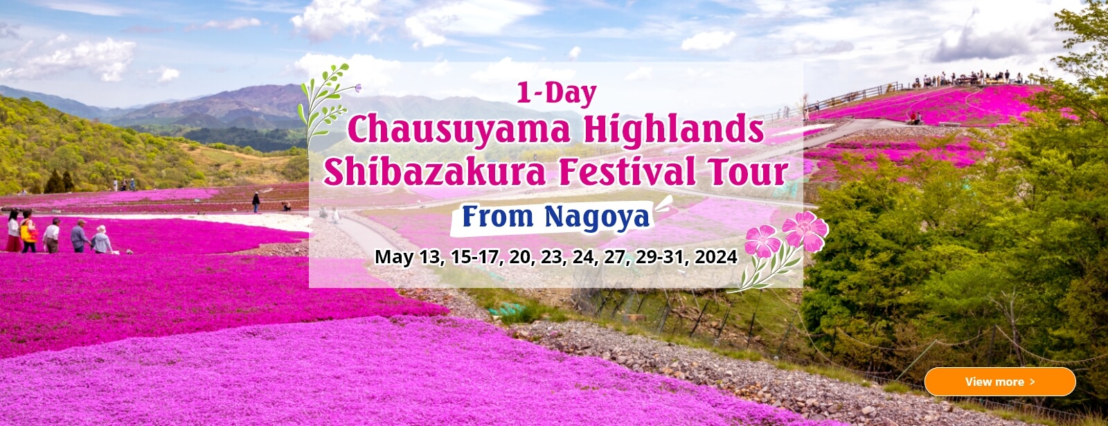 1-Day Chausuyama Highlands Shibazakura Festival Tour from Nagoya