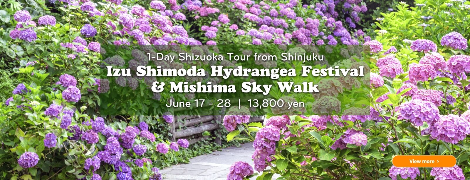 1-Day Shizuoka Tour  Izu Shimoda Hydrangea Festival & Mishima Sky Walk