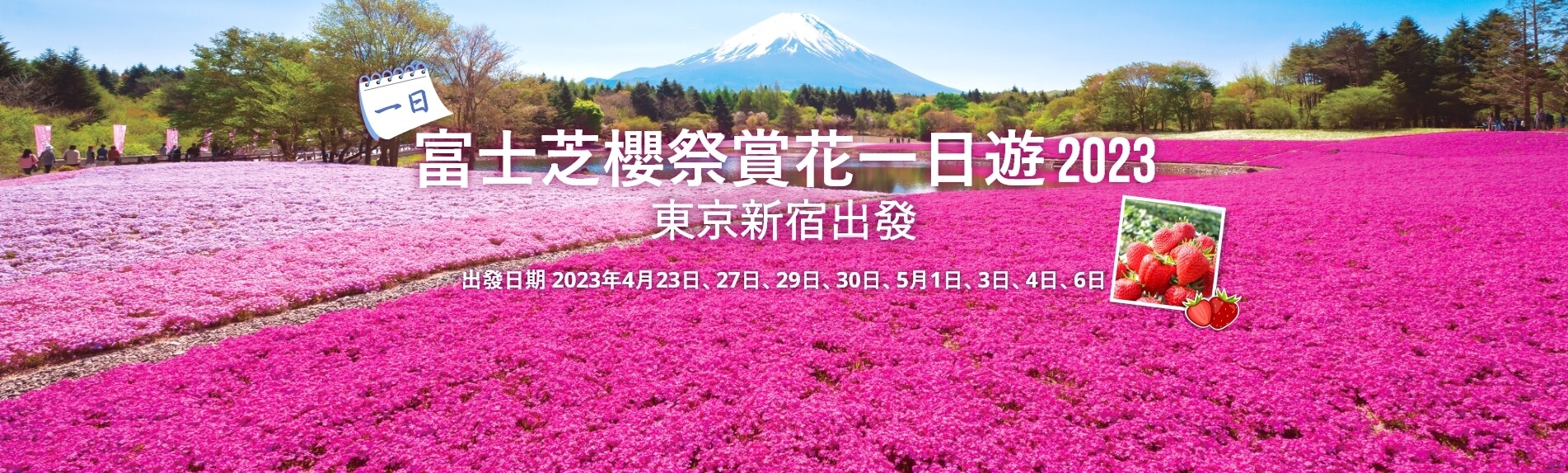 富士芝櫻祭賞花一日遊 2023