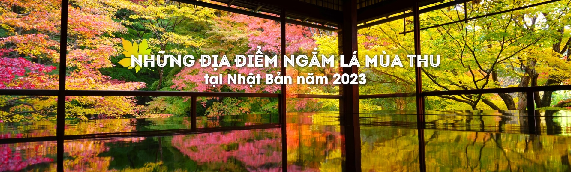 Những địa điểm ngắm lá mùa thu tại Nhật Bản năm 2023